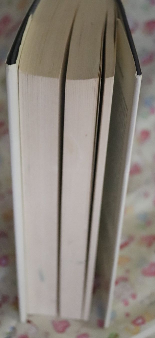 Libri: Das Vorbild von Siegfried Lenz – Usato da Glattfelden venduto da Vrenely 3
