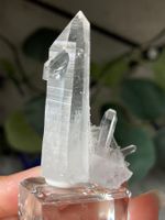Lemurian-Quarz-Cluster (Mit Menifestation)