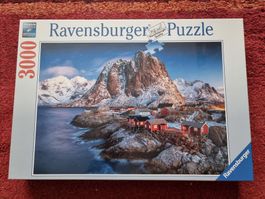 Puzzle 3000 pièces