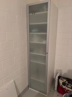 IKEA PAX Wardrobe with Frosted Glass/Aluminium Door