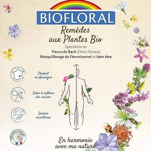 Bücher: DESTOCK: Fleurs de BACK – Gebraucht aus Ecuvillens von n.aissaoui 3