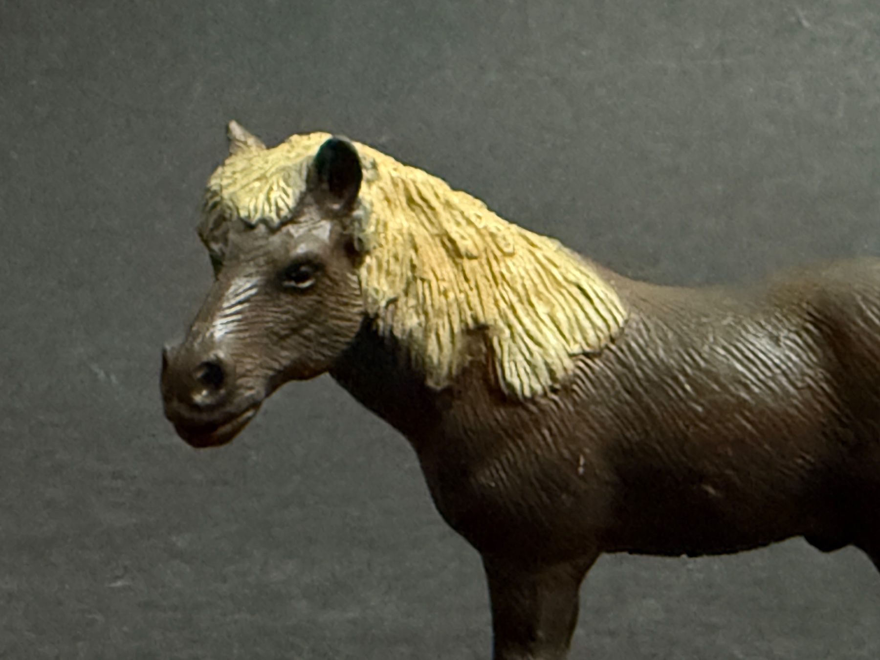 Schleich Statuette: Schleich Island Pferd 13249 Pony – Usato da Ennetbaden venduto da mapa05 8