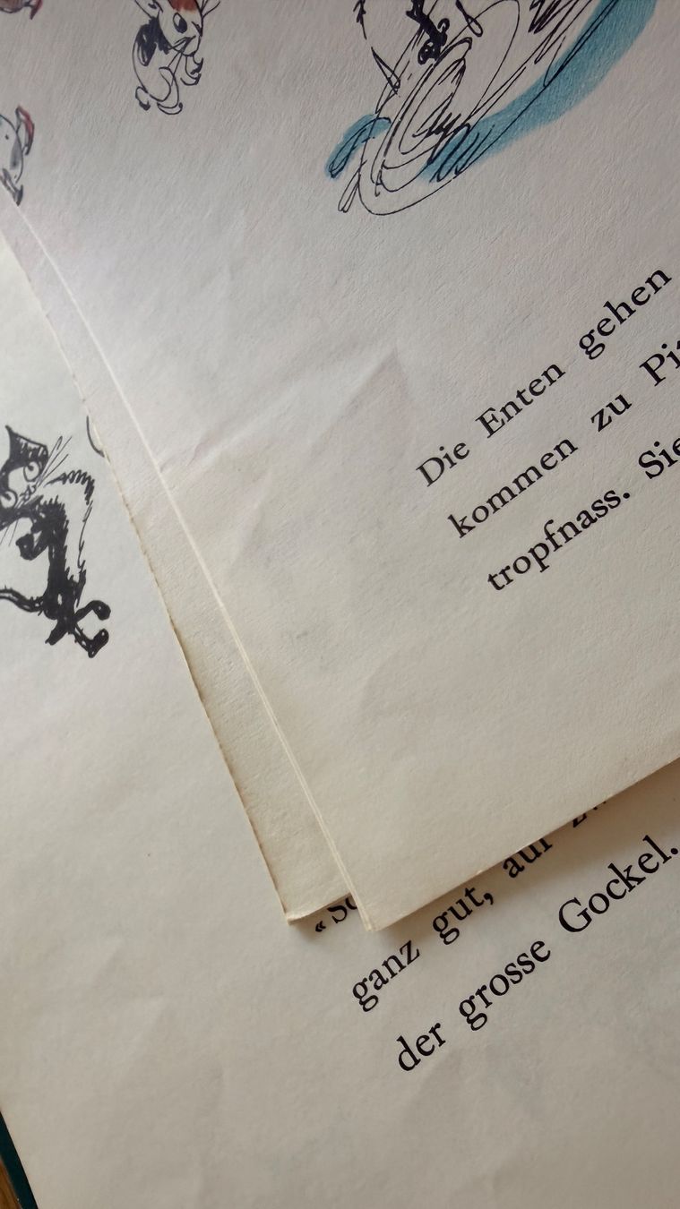 Libri: Buch - Pitschi - Hans Fischer – Usato da Winterthur venduto da Secondhand-Family 6