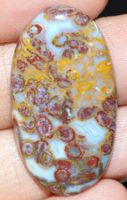 Cabochon L-1884 – Palmwurzel Achat 35x19x5mm 29,65 Ct.