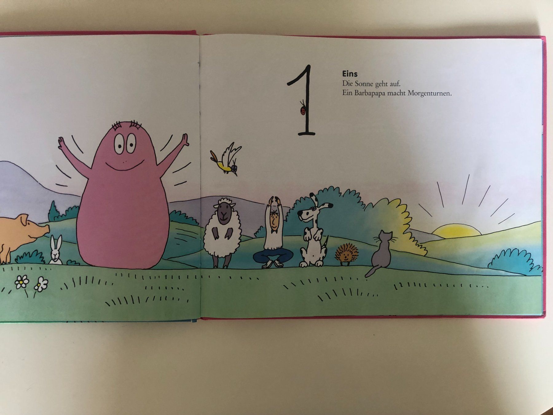 Libri: Barbapapa und die Zahlen – Usato da Bassersdorf venduto da sammelfloh 4