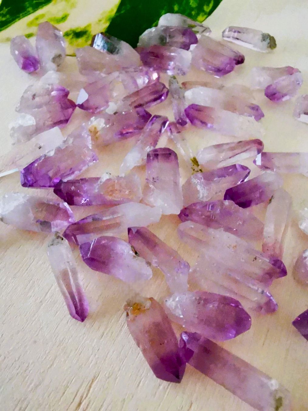Minerali & Pietre curative: 1-2cm natürlich Amethyst-Kristall Spitzen – Nuovo e nell'imballaggio originale da Dierikon venduto da Buntspecht-10 6