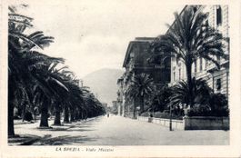 BILDPOSTKARTE 1930 VON SPEZIA NACH LOCARNO -  DA86
