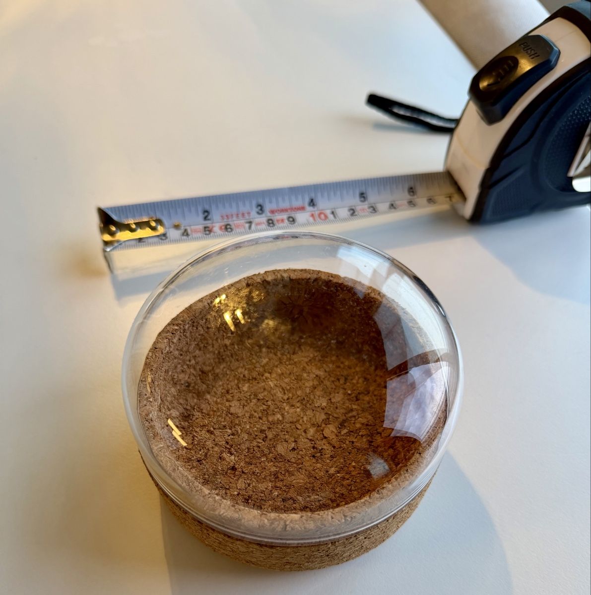 Tutte le decorazioni: Dekoration Behälter mit Glassdekel – Nuovo (secondo la descrizione) da Zürich venduto da eportex