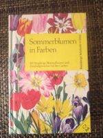 Sommerblumen in Farben