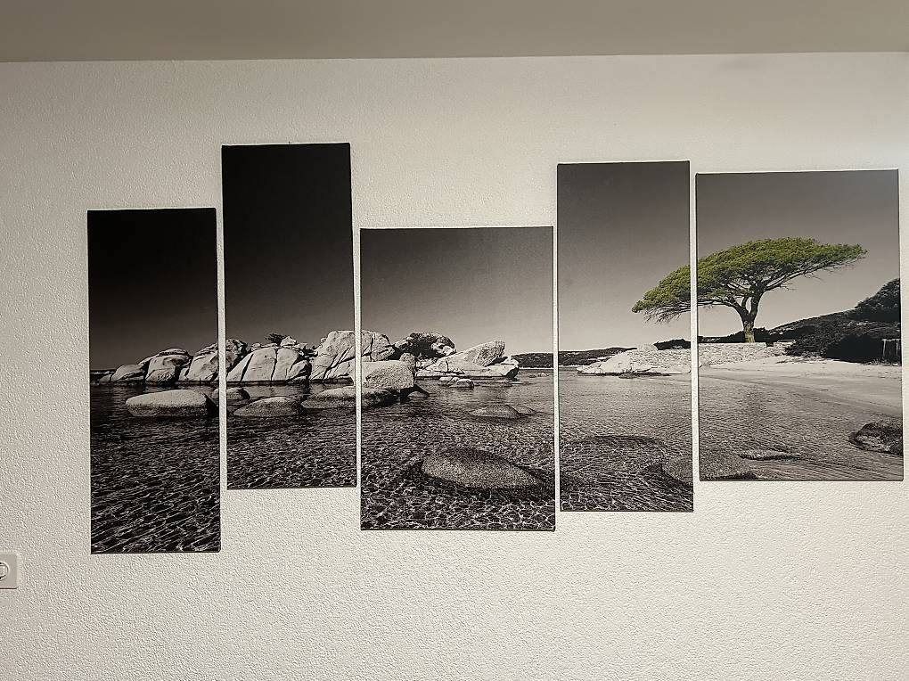 Tableaux: Tableau mural – Neuf avec emballage d'origine à Bulle par mkg_n9kw