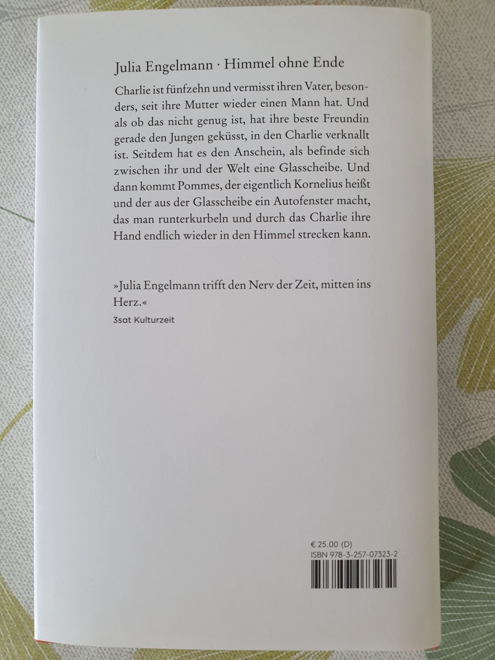 Libri: Julia Engelmann Himmel ohne Ende Roman – Usato da Winterthur venduto da Natascha_1994 1