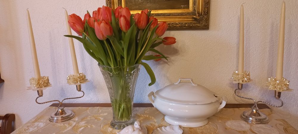Coupes: Weisses Porzellan Suppentopf mit Deckel Z.S.&Co Bavaria – D'occasion à Buchs AG par Dzirul 2
