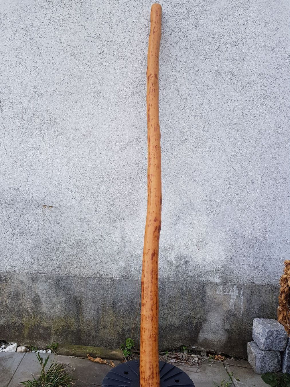 Musikinstrumente: Didgeridoo unbemalt – Gebraucht aus Wald ZH von Grappe