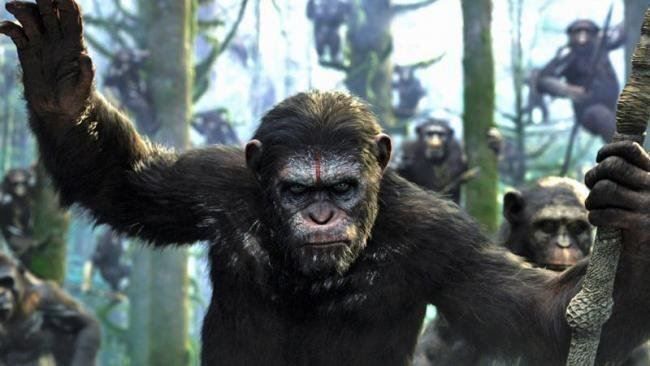 Tutti i DVDs: Planet der Affen Prevolution + Revolut. – Usato da Uster venduto da Chadwick 5