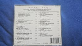 Ländlertrio Piz Segnes-Ds bescht/dj/hits