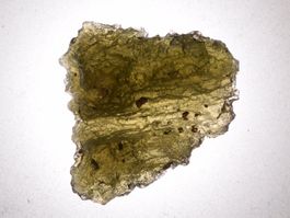 Moldavit 4,9g