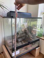 Terrarium Exo Terra 60x60x45 cm mit Heizung guter Zustand