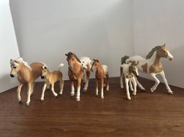 Schleich Fohlen Set