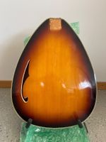 Gitarrenkörper DANELECTRO TEARDROP