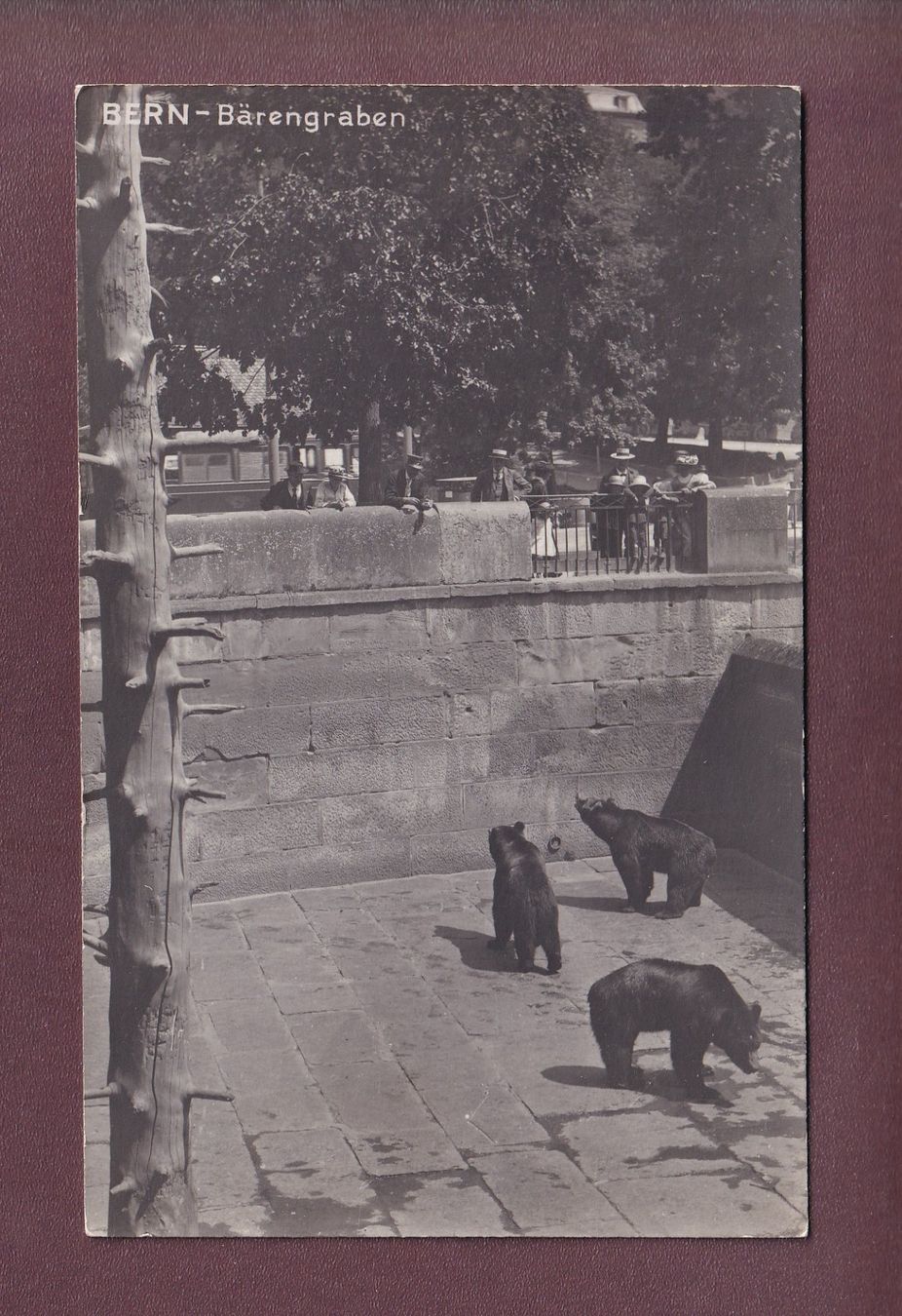 Ansichtskarten: BERN - Bärengraben - 1926 – Gebraucht aus Pully von nicecards