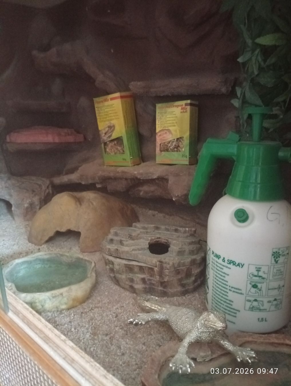 Terrario: Terrarium mit Untermöbel  – Usato da Aarwangen venduto da GiLANi 1