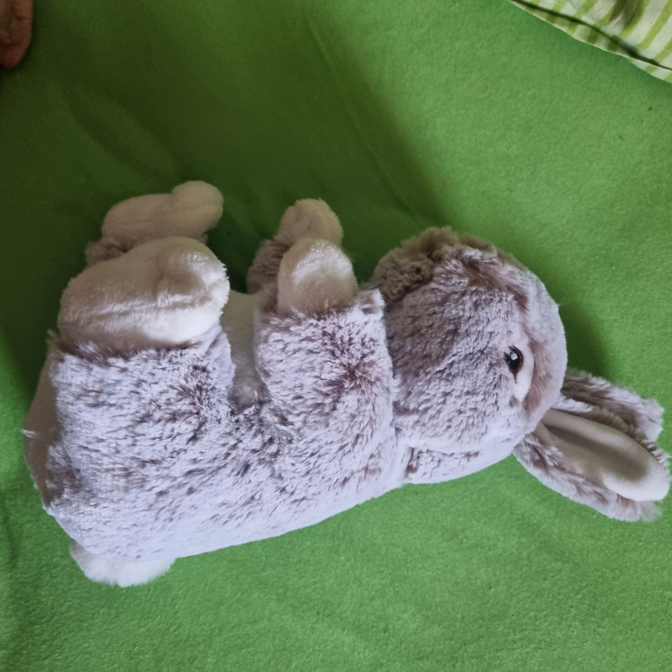 Coop Sammelmarken & -punkte: Coop Hase Plüschtier – Gebraucht aus Buchs AG von Kitten33 1