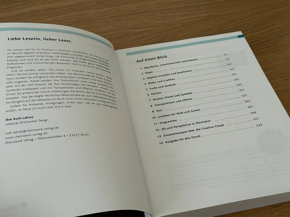 Libri: Adobe Illustrator - Der praktische Einstieg, wie neu – Nuovo (secondo la descrizione) da Zürich venduto da ganchclub 3