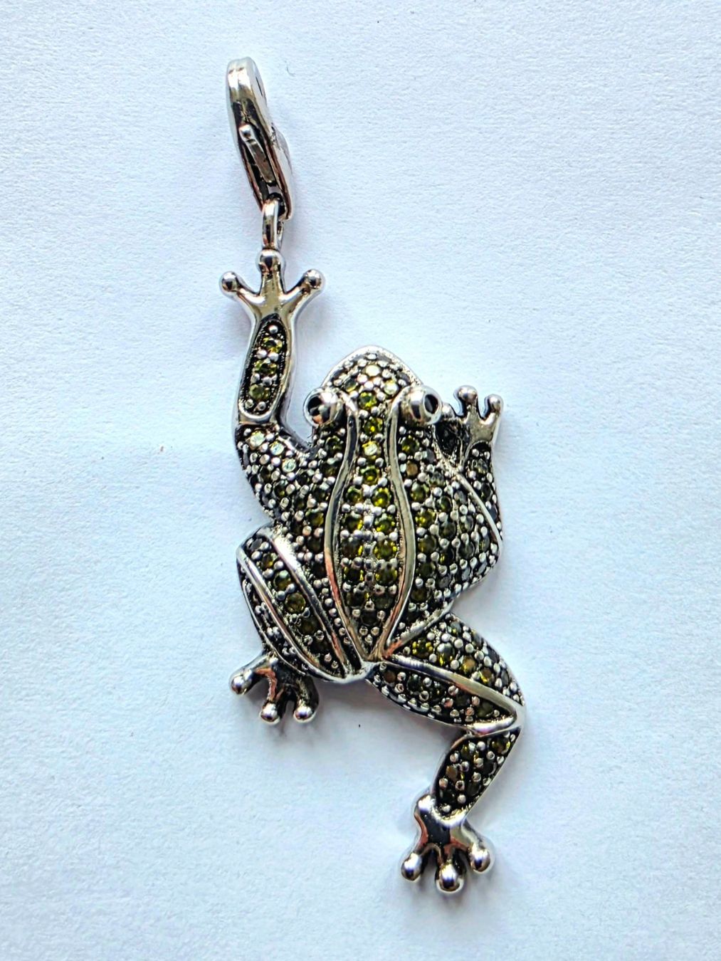 Anhänger: Frosch Anhänger Silber 925 – Neu (gemäss Beschreibung) aus Madetswil von triforuz