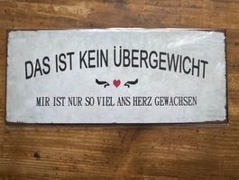 Blechschild mit lustigem Spruch NEUE Kolektion, Geschenkidee