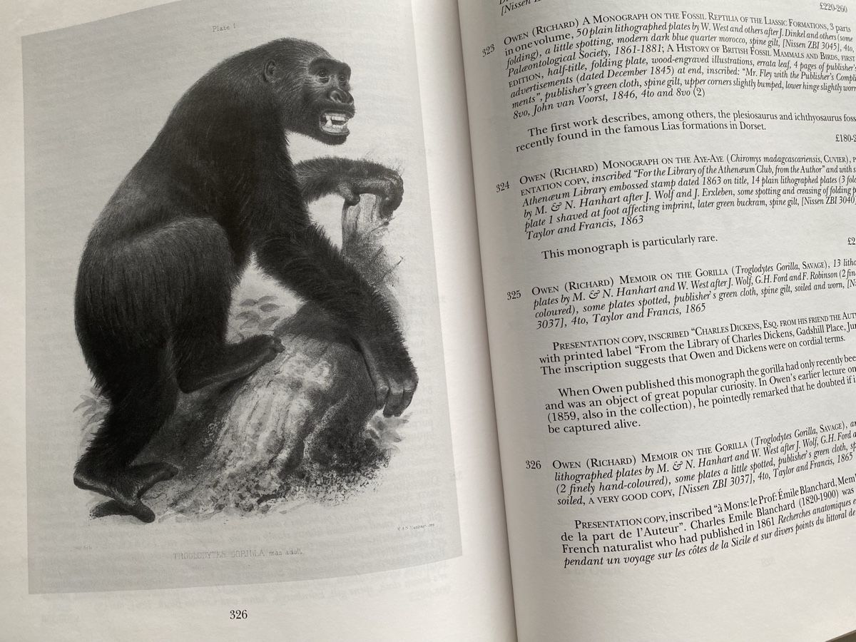 Bücher: DARWIN Century, J.Norman Collection, London Evolution Theory – Gebraucht aus Zürich von lesgarcons 2