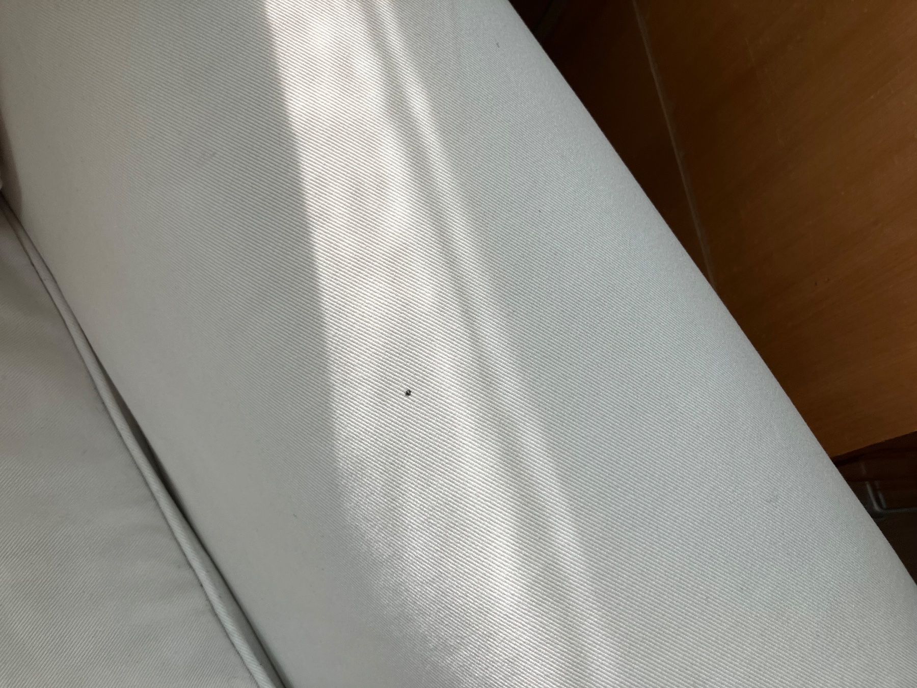 Divani: Sofa, superbequem, Zweier, Bezug Baumwolle, waschbar – Usato da Forch venduto da Zovage 5