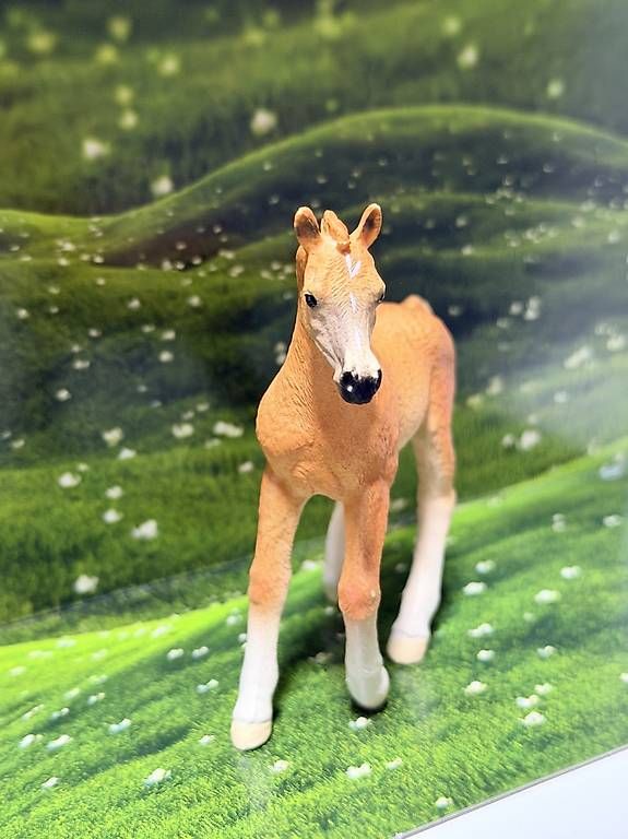 Schleich Statuette: Schleich Fohlen – Usato da Gümligen venduto da Sally777