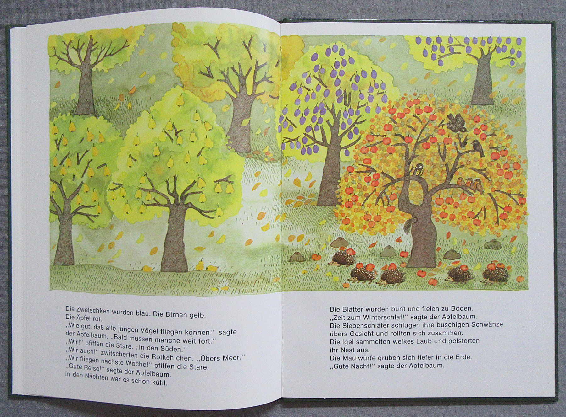 Livres: Der Apfelbaum - Bilderbuch ab CHF 1.00 – D'occasion à Auenstein par Padabimbim 7