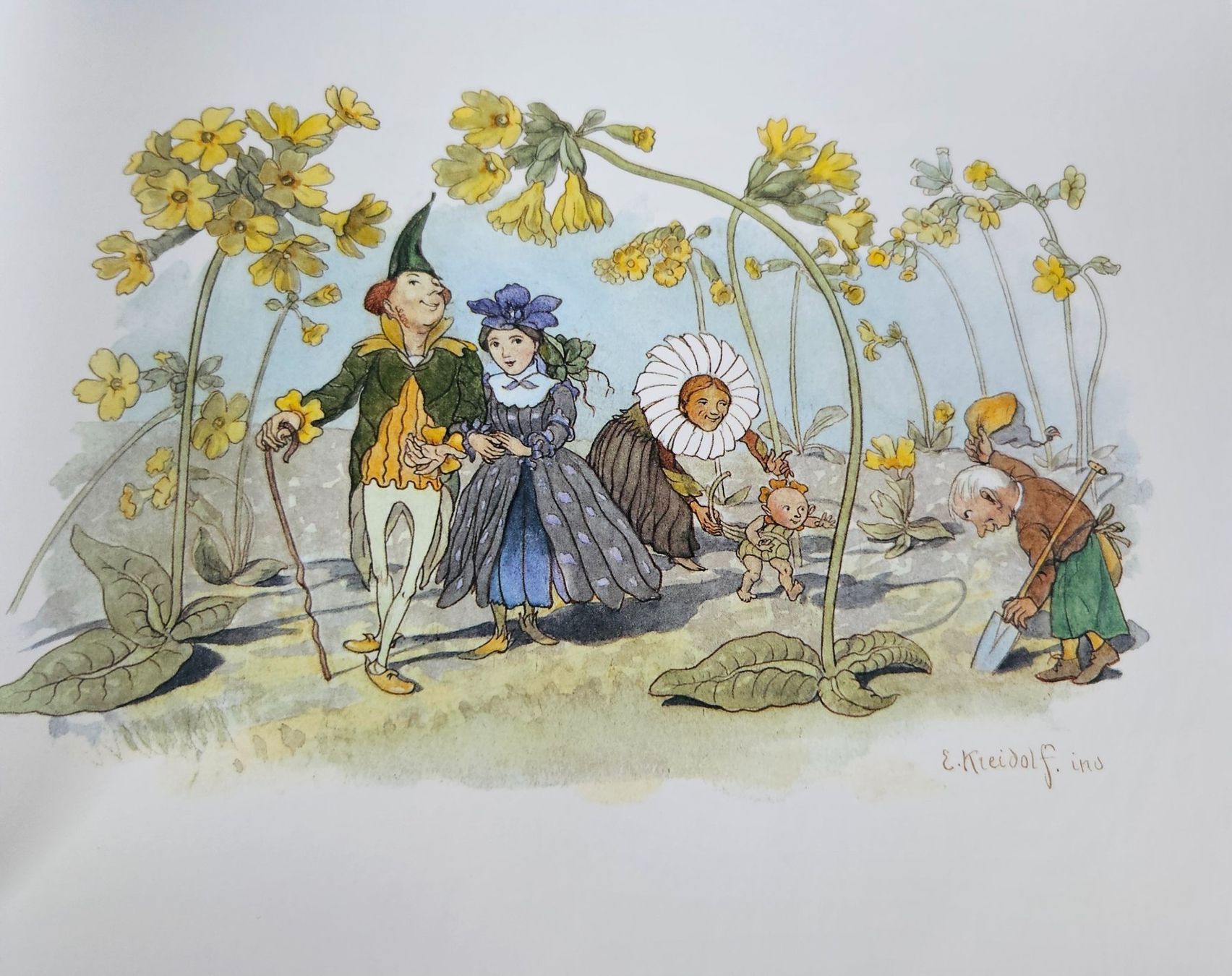 Libri: Blumen-Märchen von Ernst Kreidolf, Bilderbuch, – Nuovo (secondo la descrizione) da Uster venduto da Sonnenblume212 3