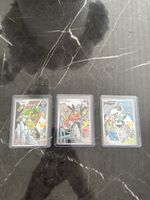 3 Pokemon Karten Snivy Floink Ottaro in Schutzhulle