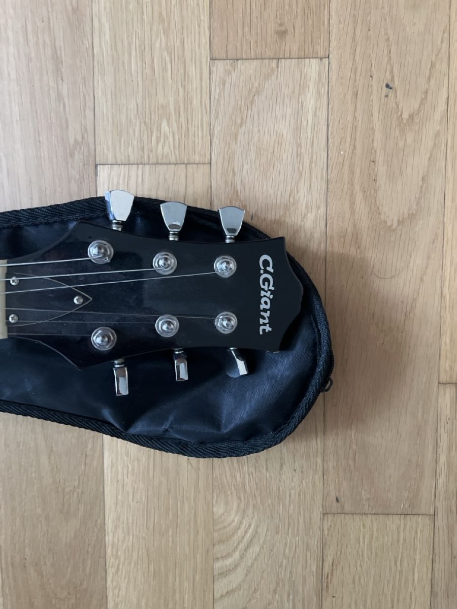 C.Giant Strumenti musicali: E Gitarre GIANT – Usato da Gossau SG venduto da sunny063 1