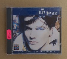 The Blow Monkeys – She Was Only A Grocer's Daughter - T8