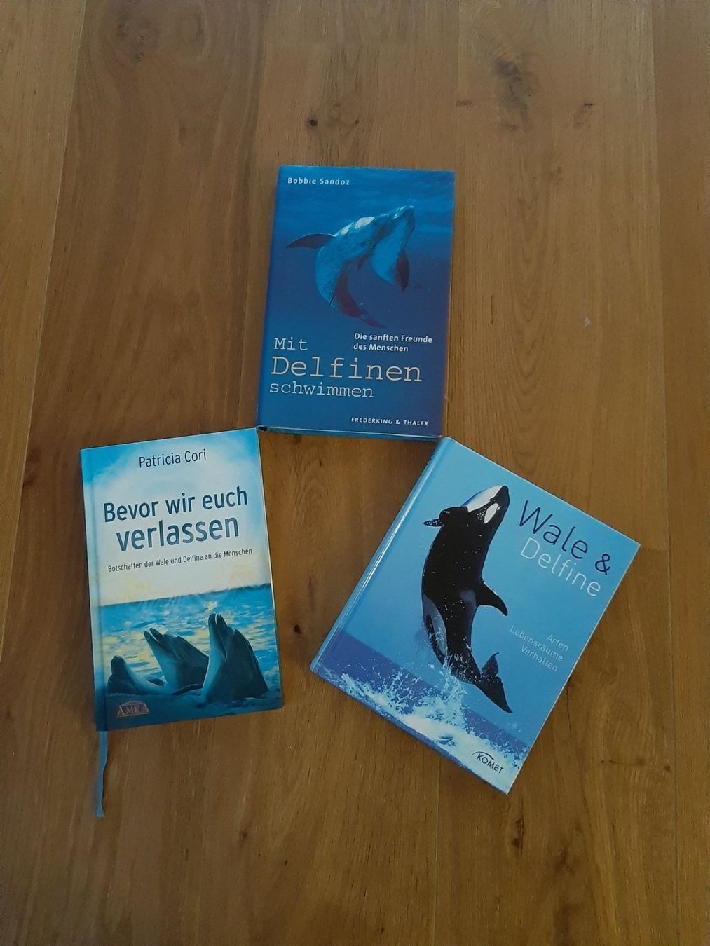 Bücher: 3 Delfin Bücher – Gebraucht aus Schmitten FR von ReniStern