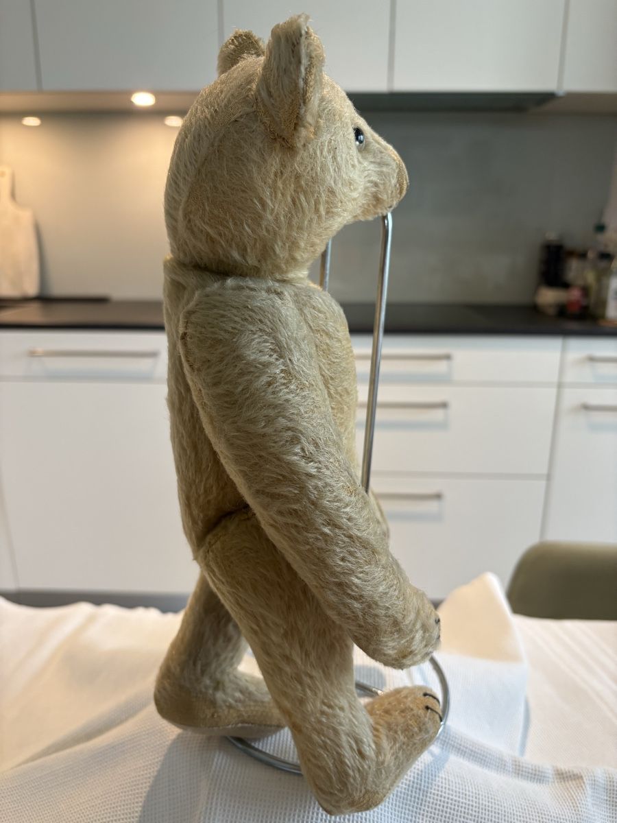 Steiff Giocattoli: Steiff Teddy – Usato da Schönenberg ZH venduto da Roxana8820 2