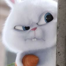 Profile image of gsi_ywc5