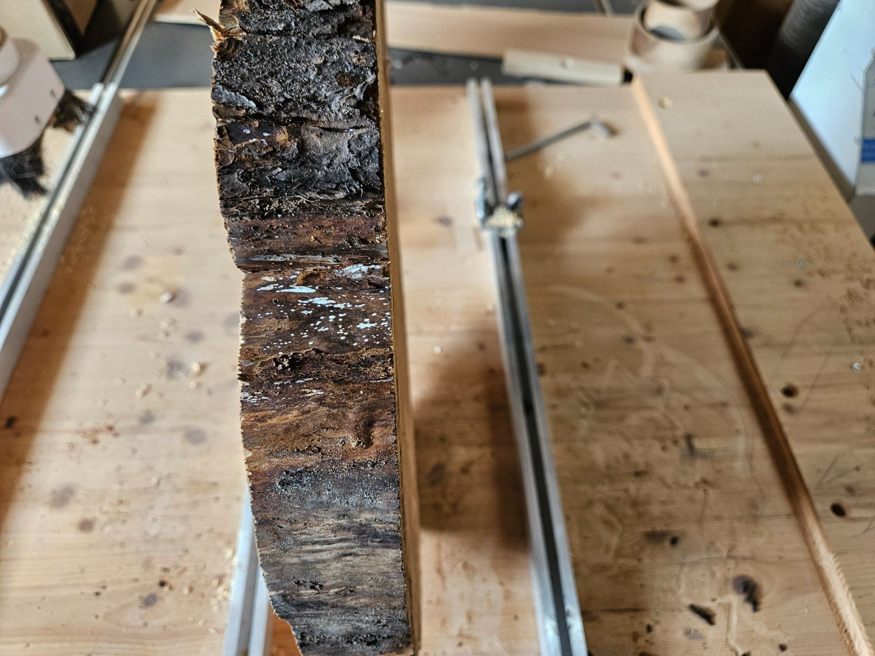 Articles en bois: Baumscheibe Kirschbaum Holz – Neuf (Voir description) à Schangnau par egli6.2 1