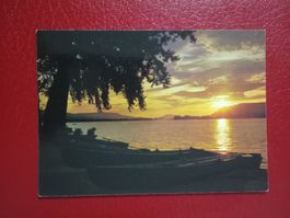 AK Abendstimmung Untersee Bodensee