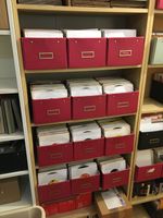 350 VINYL-SINGLES (USA, PROMO'S)