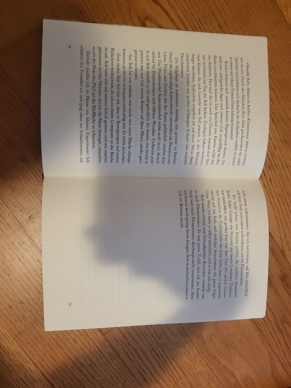 Libri: Bob, der Streuner von James Bowen – Usato da Birmenstorf AG venduto da dou_w2ts 3