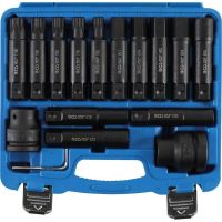 Bit-Satz, Torx 60 -T100, Inbus 17 -24mm, E-Profil: E18 - E24