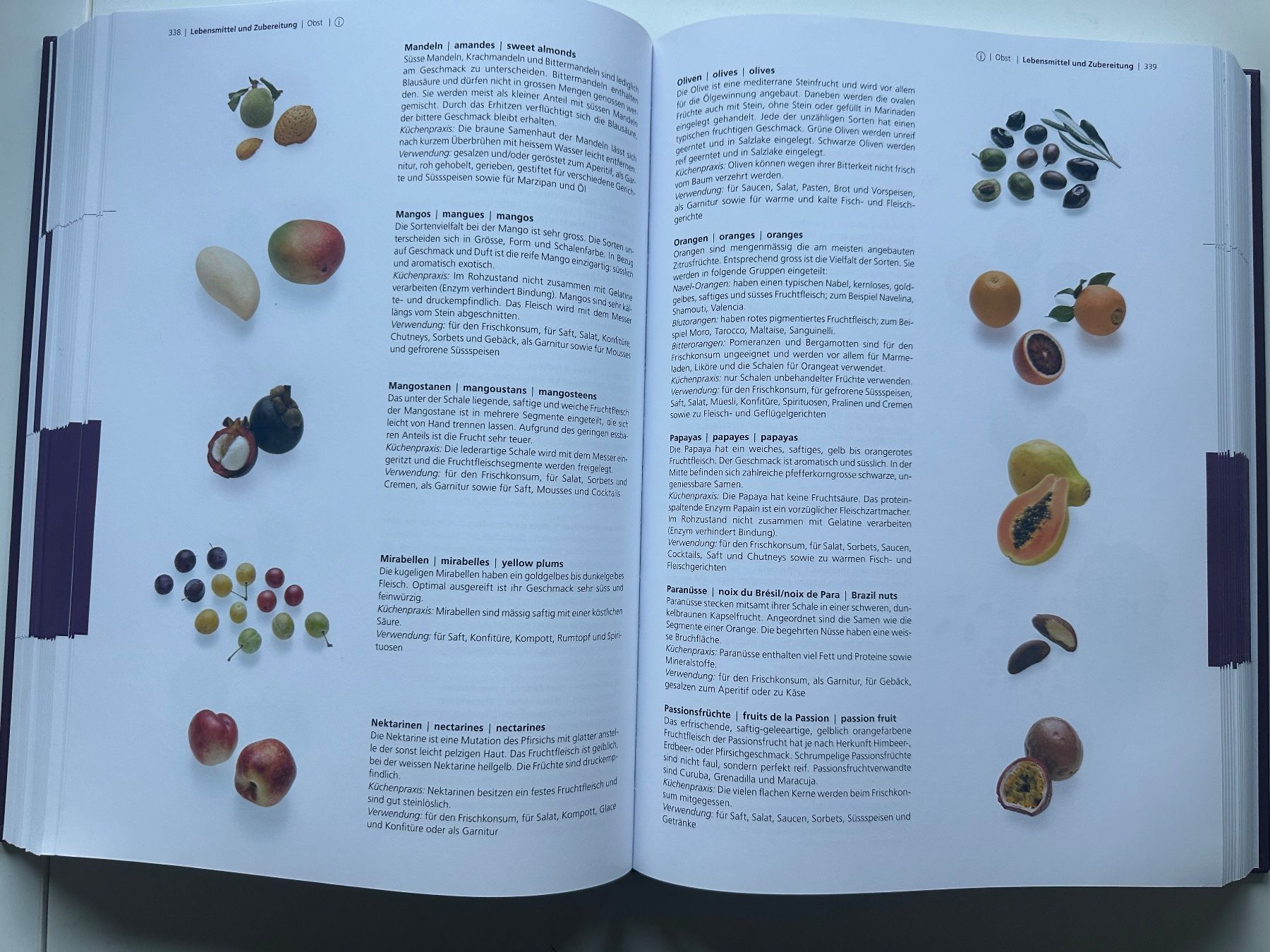 Libri: Pauli Lehrbuch der Küche – Nuovo (secondo la descrizione) da Dietlikon venduto da has_s9fw 5
