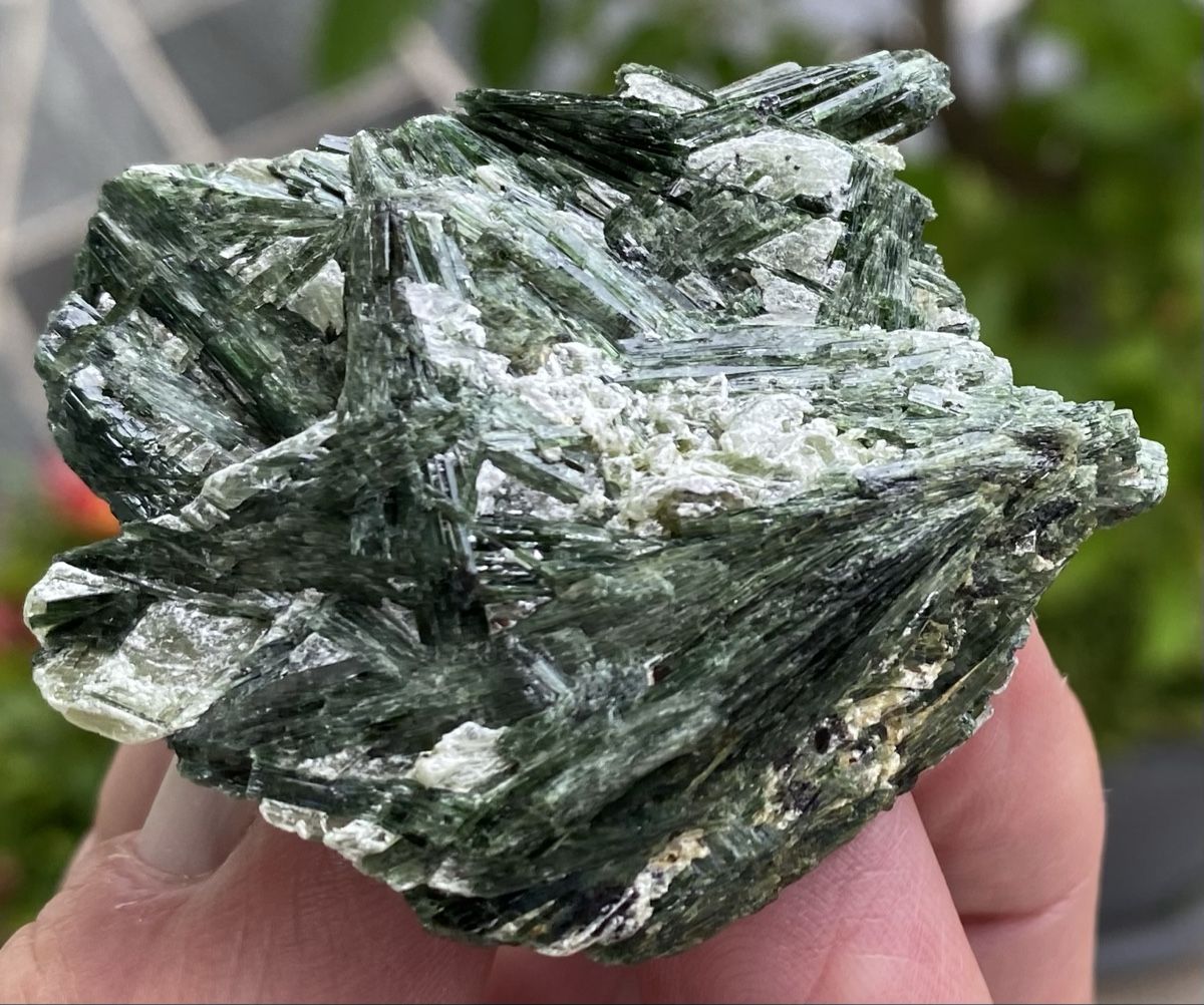 Mineralien & Heilsteine: Top Aktinolith  – Gebraucht aus Selzach von 321compac 6