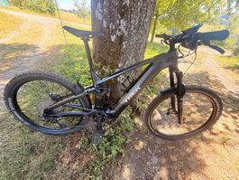 Trek Rail+ 5 Gen 5 L (120Nm Power-Upgrade / 800Wh) ab Servic