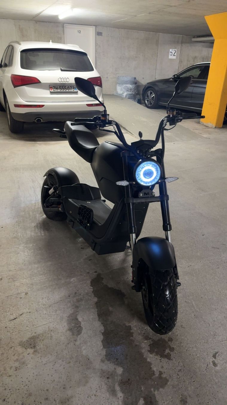 Züriflizzer Veicoli elettrici: Züriflizzer City Max RS Pro – Usato da Winterthur venduto da Godummu 1