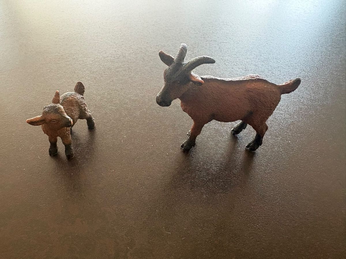 Schleich Jouets: Robbenfamilie und andere Tiere – D'occasion à Walchwil par Pirib82 1